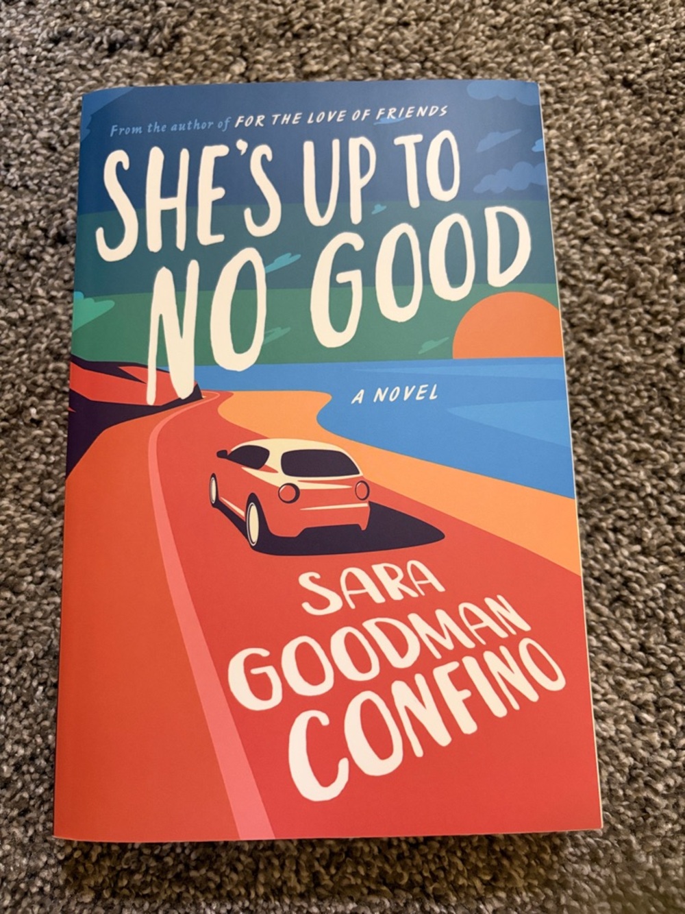 She’s Up to No Good by Sara Goodman Confino